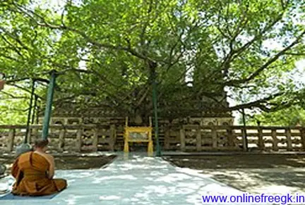 गौतम बुद्ध का जीवन परिचय, बौद्ध धर्म और उनके सिद्धांत