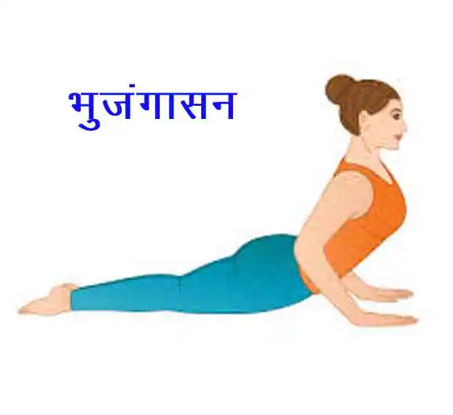  भुजंगासन (Cobra Pose)