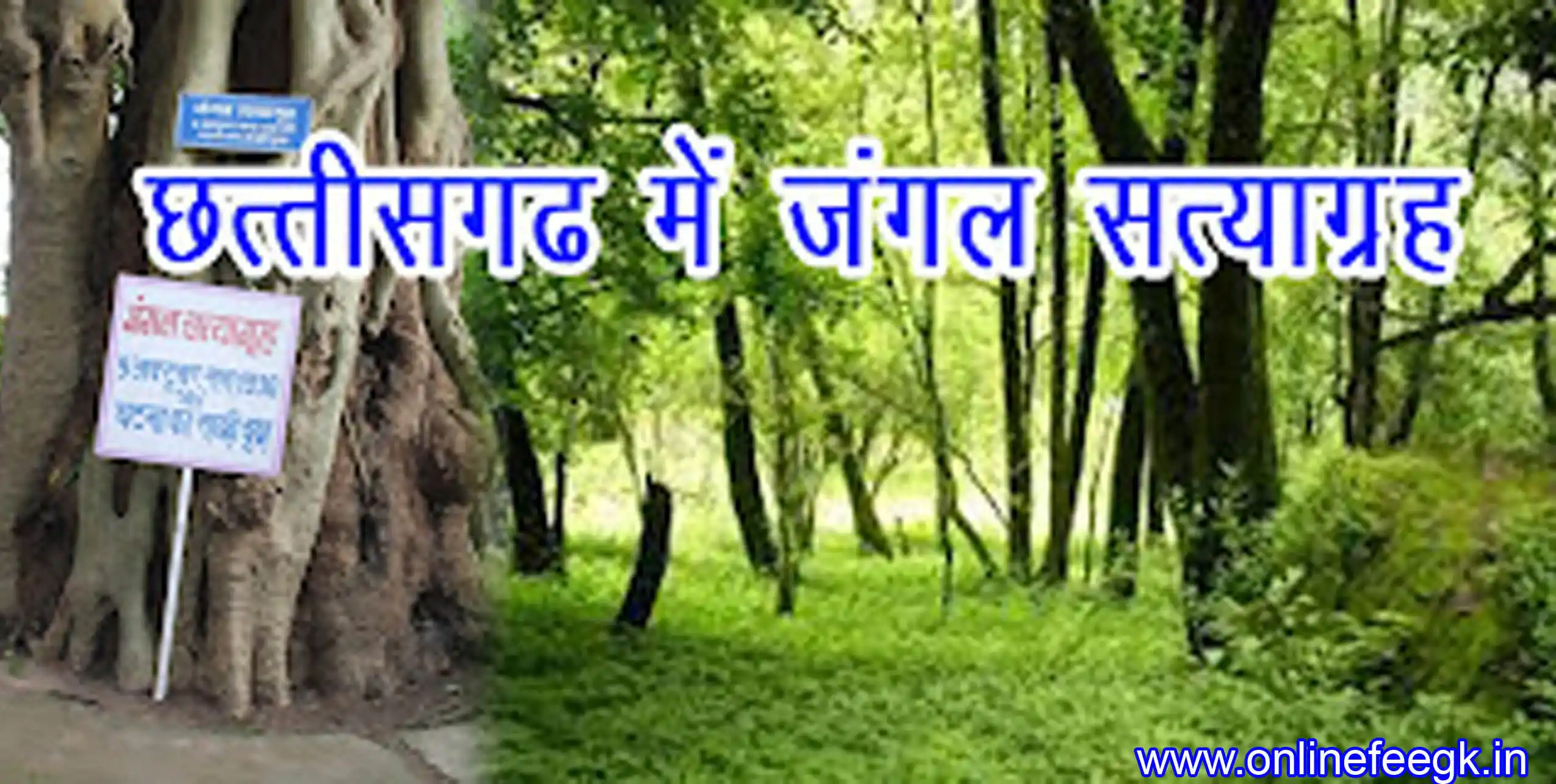 छत्तीसगढ़ में जंगल सत्याग्रह | Jungle Satyagraha in Chhattisgarh