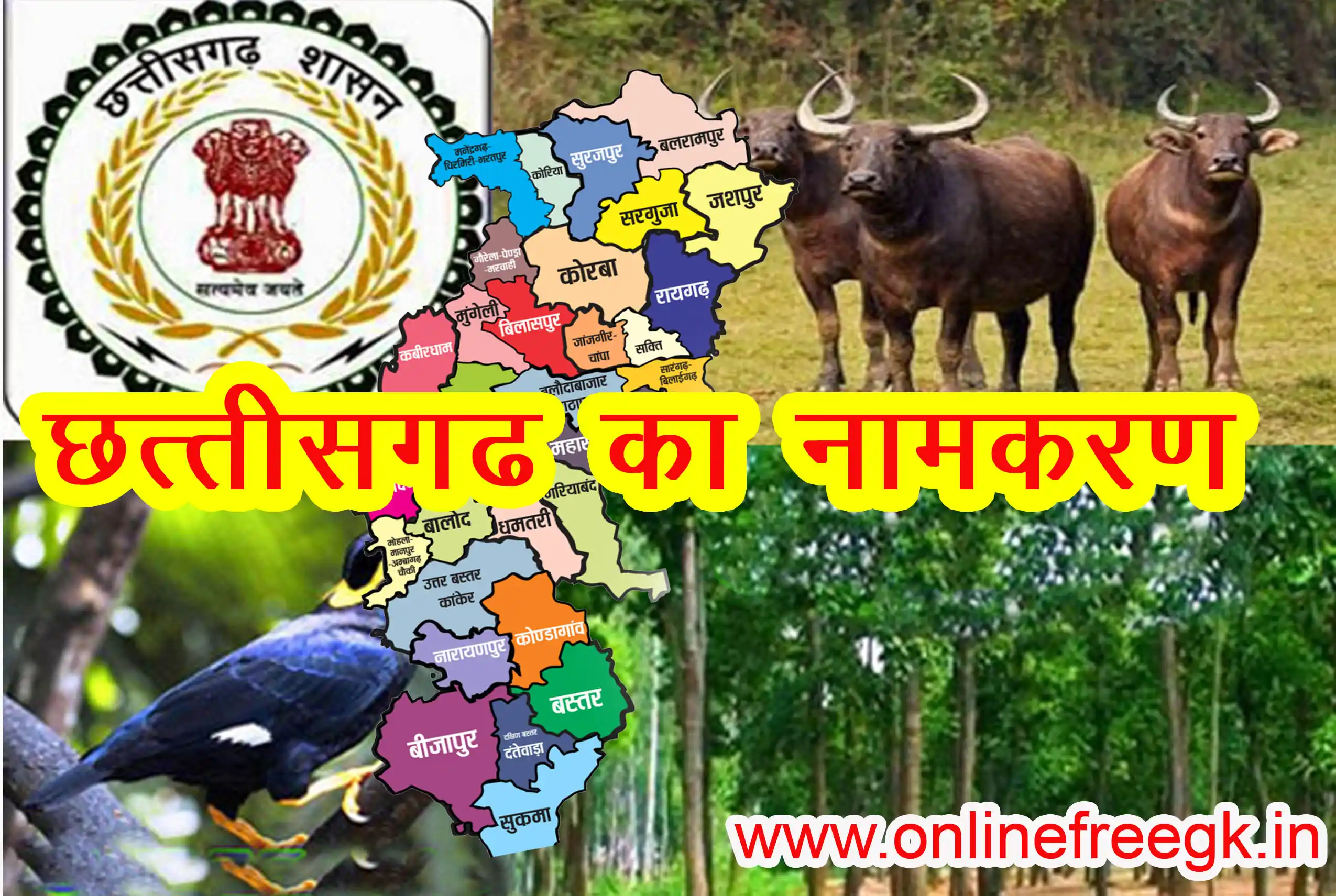 छत्तीसगढ़ का नामकरण | छत्तीसगढ़ राज्य का नाम छत्तीसगढ़ क्यों पड़ा | 36 गढ़ों का इतिहास व सूची