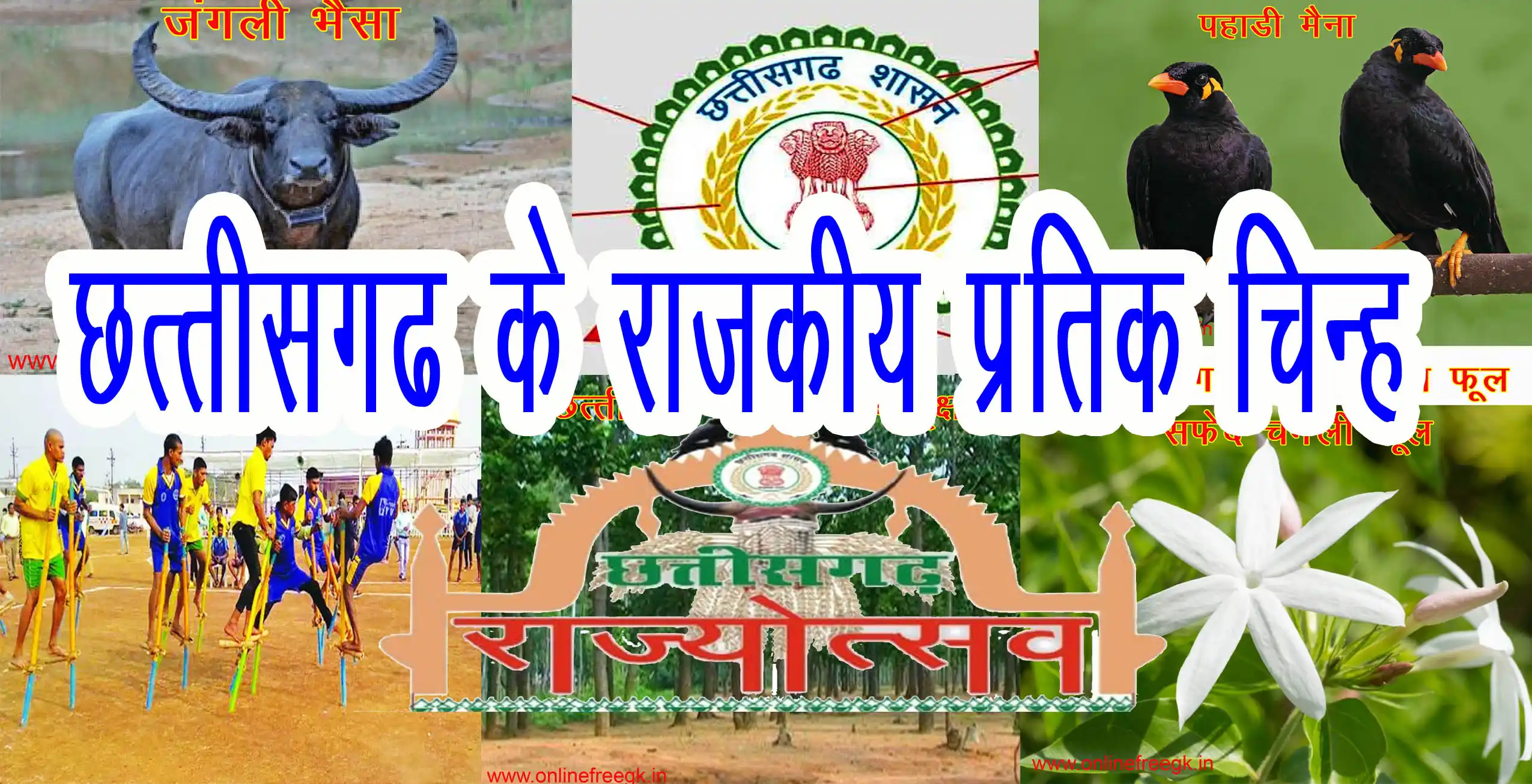 छत्तीसगढ़ के राजकीय प्रतीक चिन्ह | State Symbols of Chhattisgarh | CG GK 