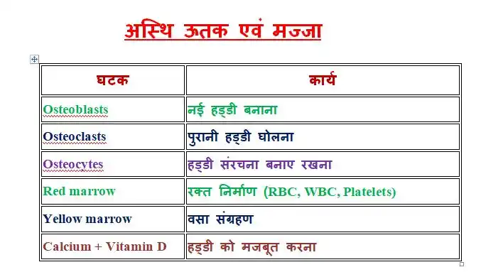 अस्थि ऊतक एवं मज्जा
