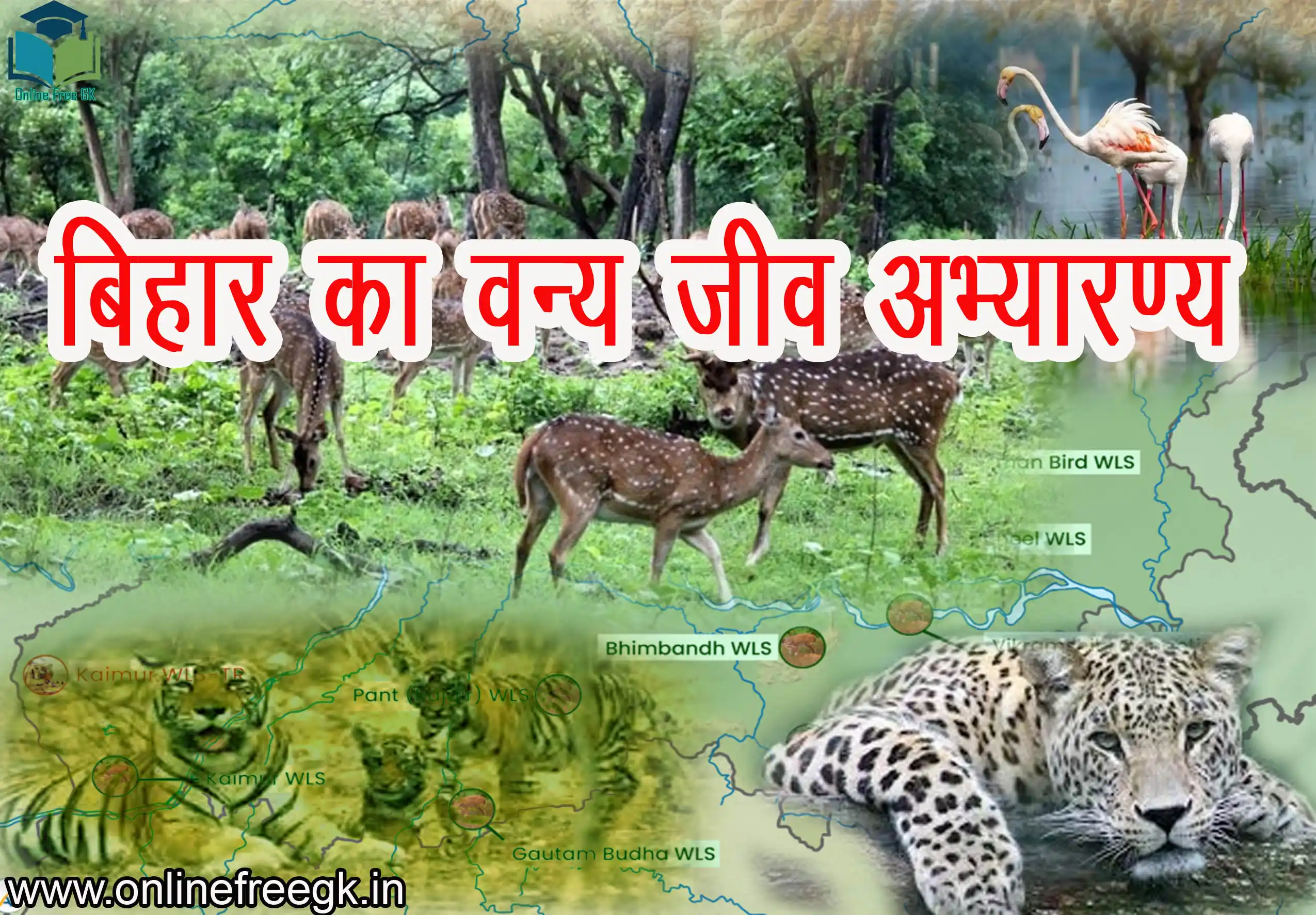 बिहार के वन्य जीव और पक्षी अभ्यारण्य: जीव-जंतु, पर्यटन स्थल