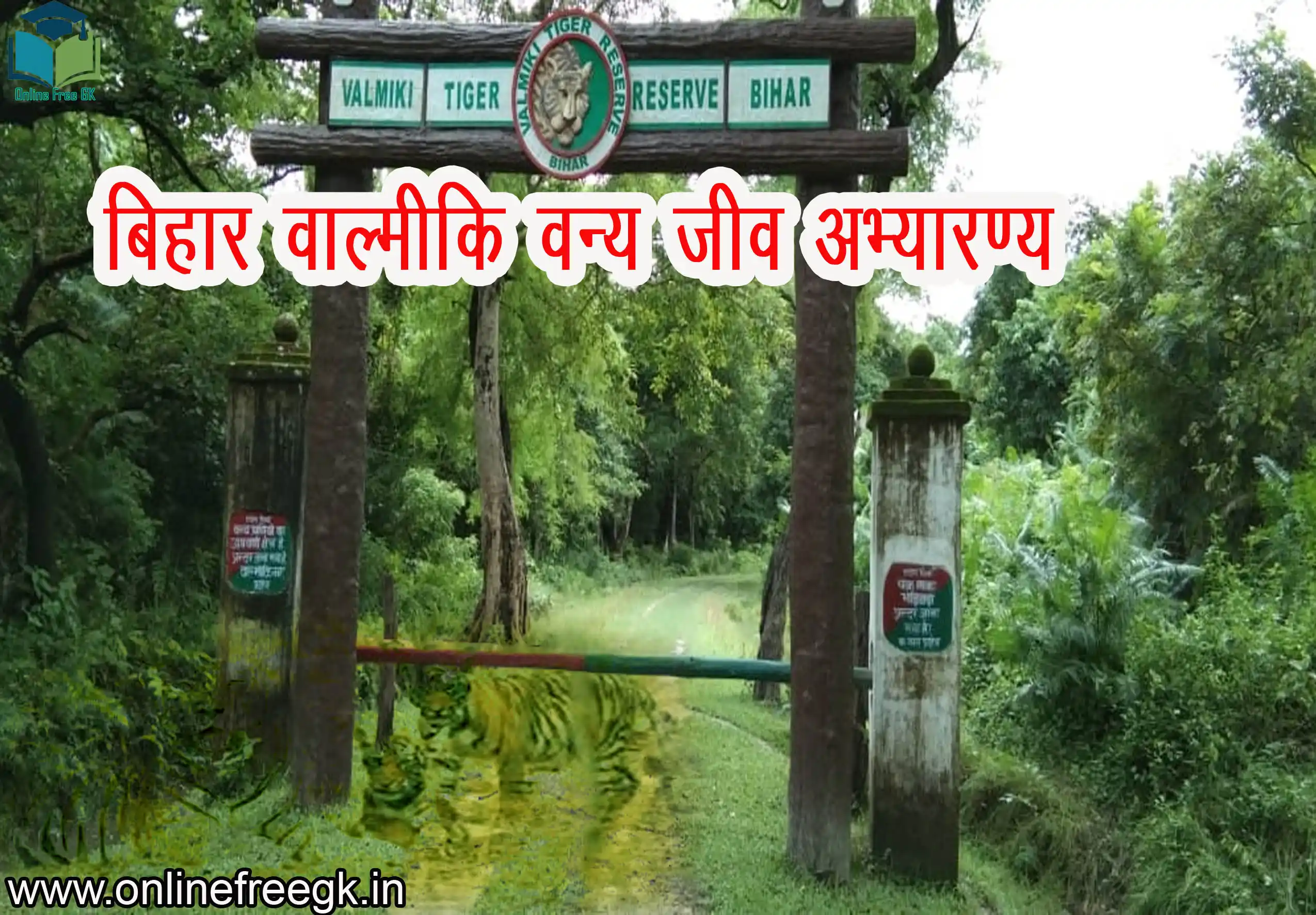 वाल्मीकि वन्य जीव अभ्यारण्य बिहार