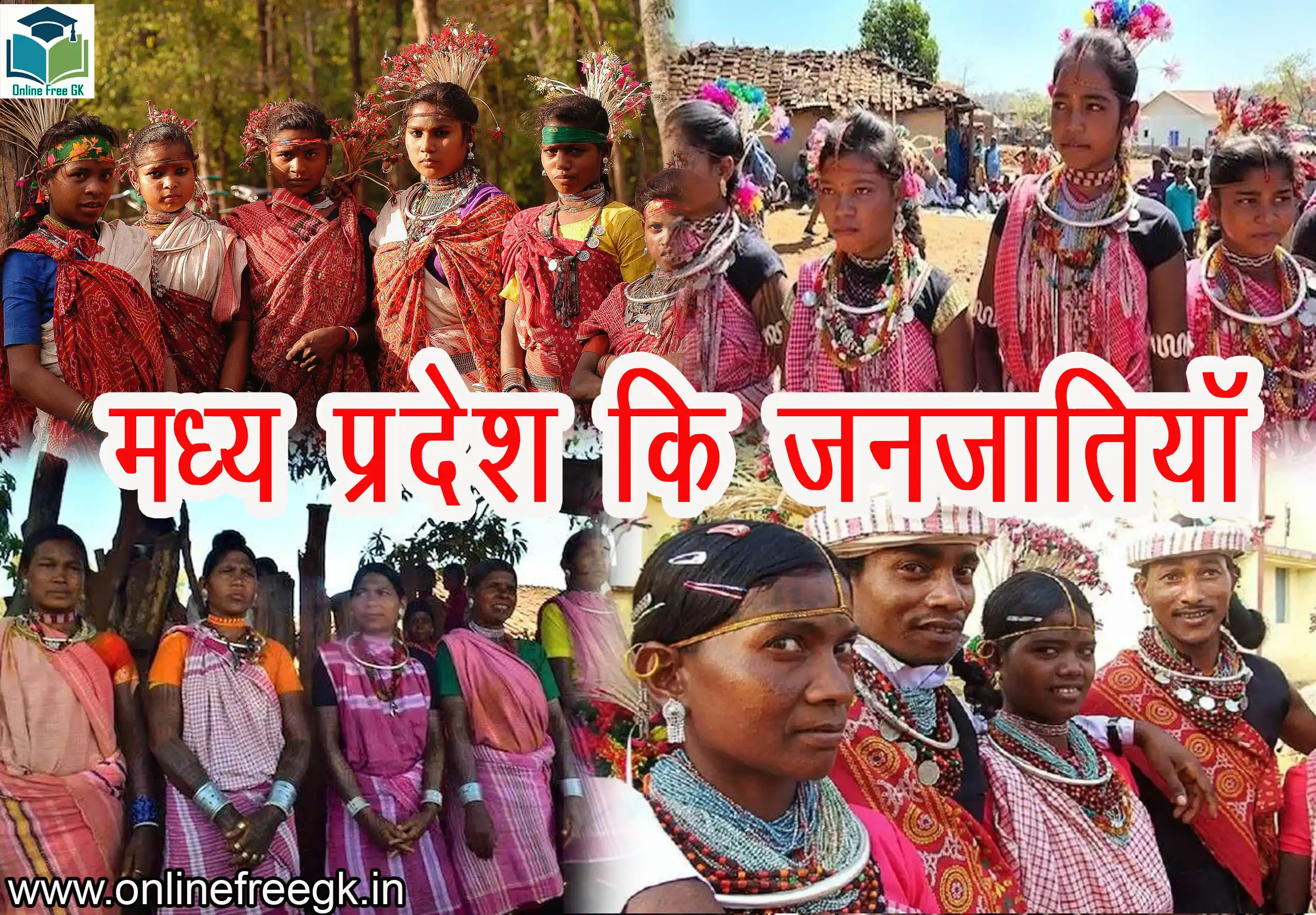 मध्य प्रदेश की 46 प्रमुख जनजातियाँ – भौगोलिक क्षेत्र, भाषा, संस्कृति और जीवनशैली